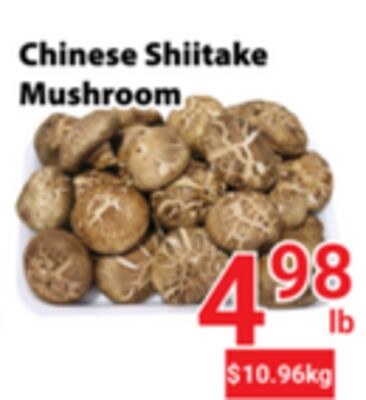 Chinese Shiitake Mushroom