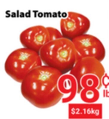Salad Tomato