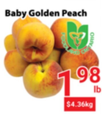 Baby Golden Peach