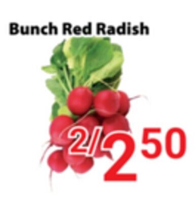 Bunch Red Radish