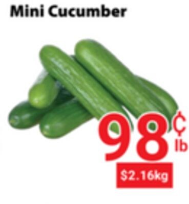Mini Cucumber