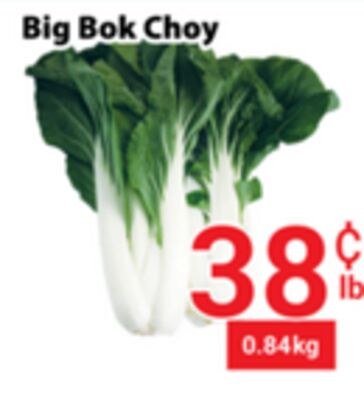 Big Bok Choy