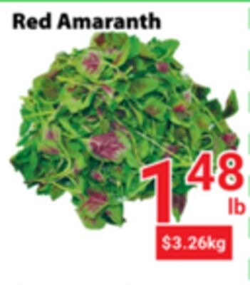 Red Amaranth