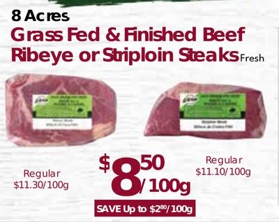 8 Acres Grass Fed & Finished Beef Ribeye or Str…