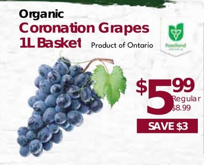 Organic Coronation Grapes