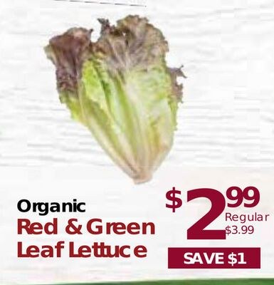 Organic Red & Green Leaf Lettuce