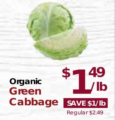 Organic Green Cabbage