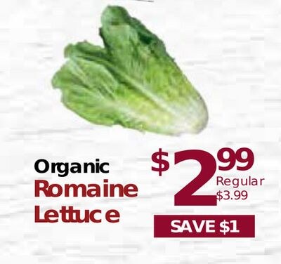 Organic Romaine Lettuce