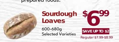 Sourdough Loaves