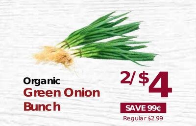 Organic Green Onion Bunch