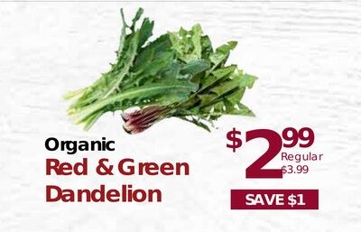 Organic Red & Green Dandelion
