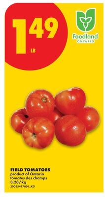 FIELD TOMATOES