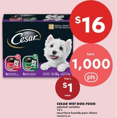 CESAR WET DOG FOOD, 12'S