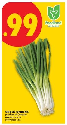 GREEN ONIONS