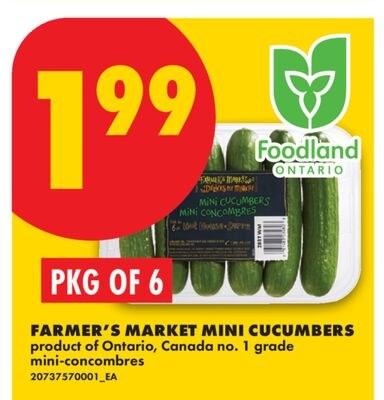 FARMER'S MARKET MINI CUCUMBERS, PKG OF 6