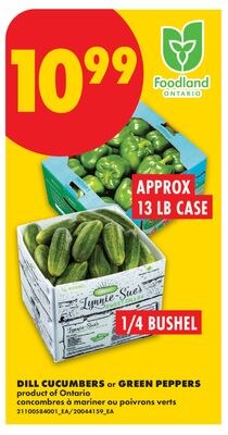 DILL CUCUMBERS, 1/4 BUSHEL OR GREEN PEPPERS, AP…