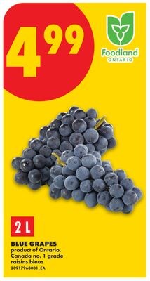 BLUE GRAPES, 2 L