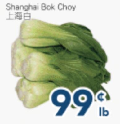 Shanghai Bok Choy
