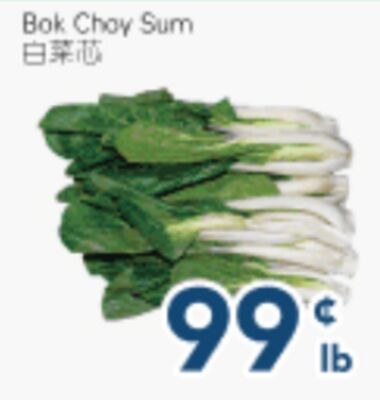 Bok Choy Sum