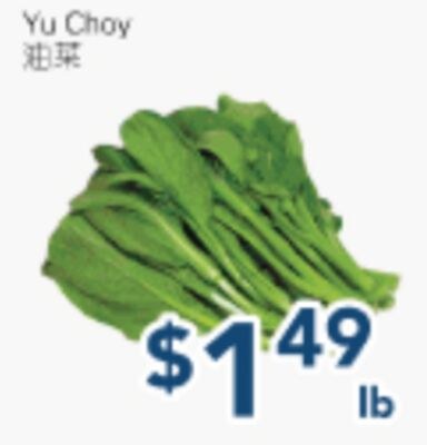 Yu Choy