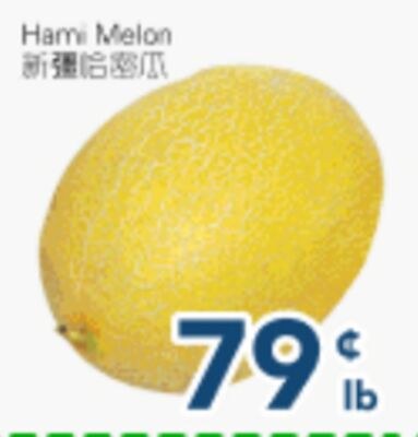 Hami Melon