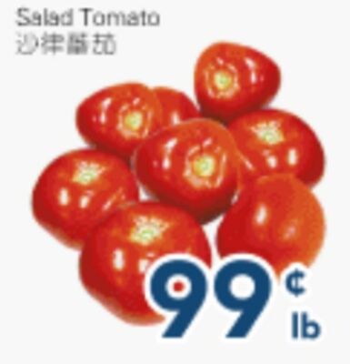 Salad Tomato