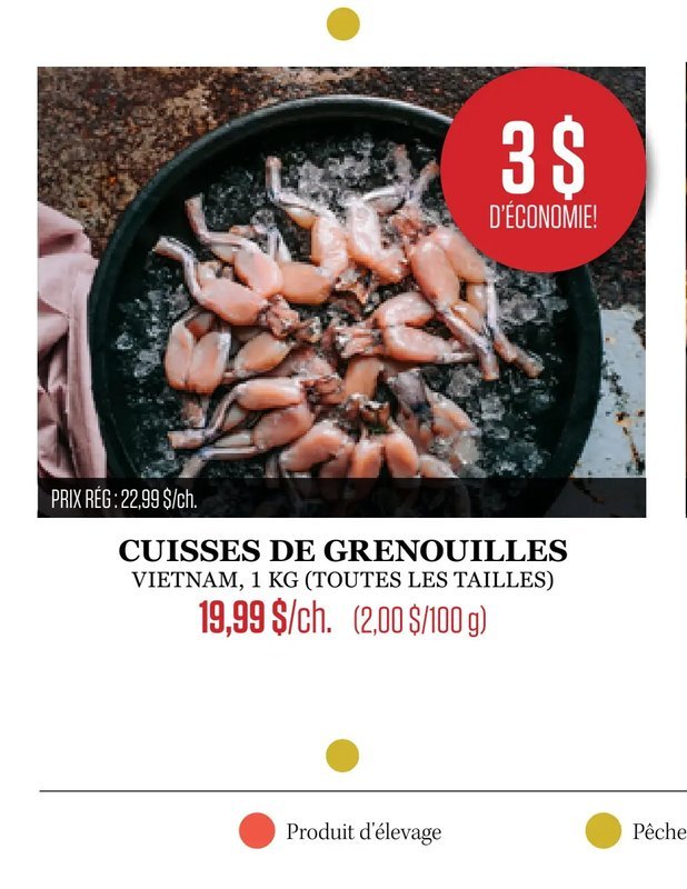 CUISSES DE GRENOUILLES