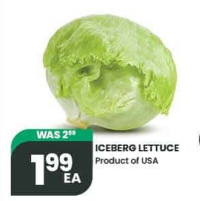 ICEBERG LETTUCE