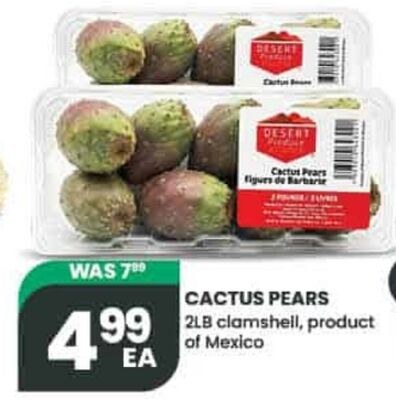 CACTUS PEAR
