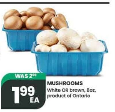 MUSHROOMS