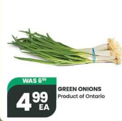 GREEN ONIONS