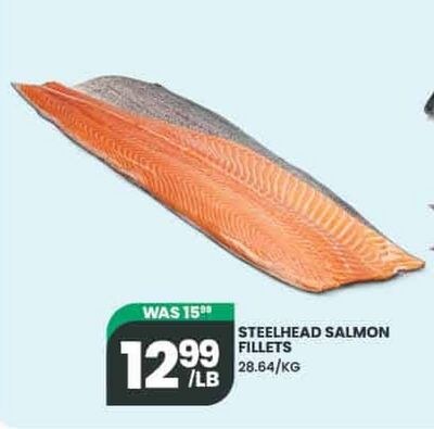 STEELHEAD SALMON FILLETS
