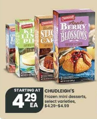CHUDLEIGH'S Frozen mini desserts