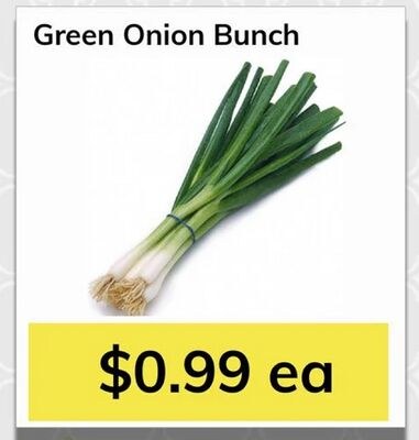 Green Onion Bunch