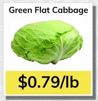 Green Flat Cabbage