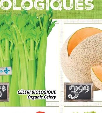 Céleri biologique