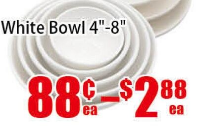 White Bowl 4"-8"