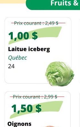 Laitue iceberg