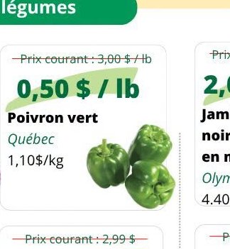Poivron vert