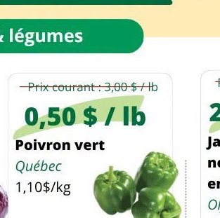 Poivron vert