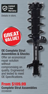 Pro-Series OE Complete Strut Assemblies & Shocks