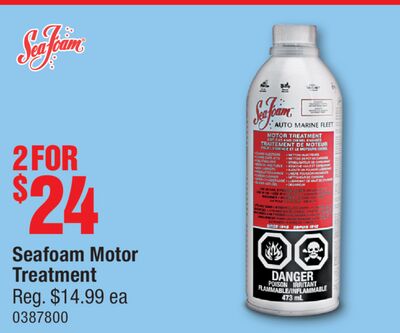 Seafoam Motor Treatment