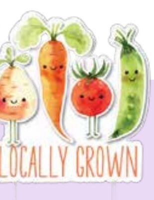 Little Sprout Cake Topper