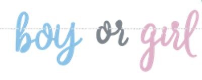 Gender Reveal" Boy Or Girl" Banner, 7-ft