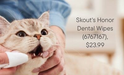 Skout's Honor Dental Wipes
