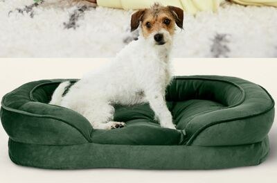 Bailey & Bella Velvet Chaise Emerald