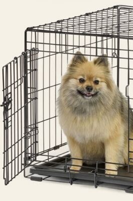 Essentials Single Door Wire Pet Crate