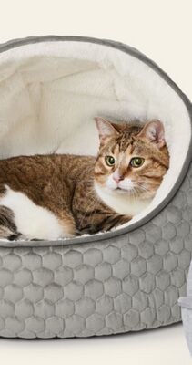Bailey & Bella Cat Cave Grey Chalet Bed