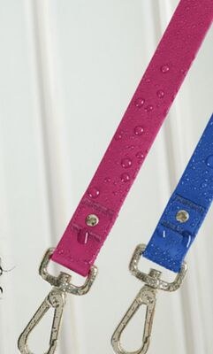 JUMP! Waterproof Dog Leash