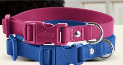 JUMP! Waterproof Dog Collar